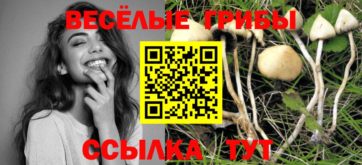 Галлюциногенные грибы ЛСД Баксан