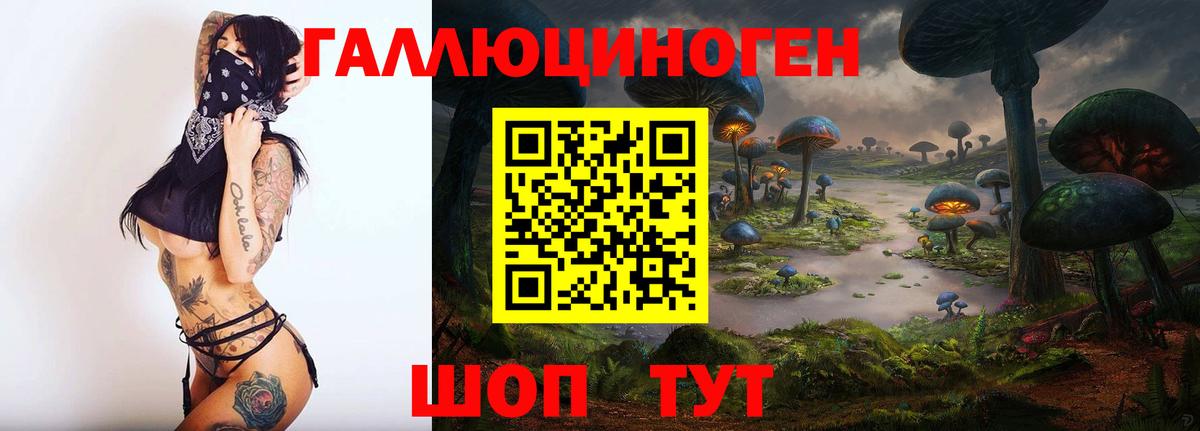 Баксан  Псилоцибиновые грибы Cubensis  Вход с VPN 